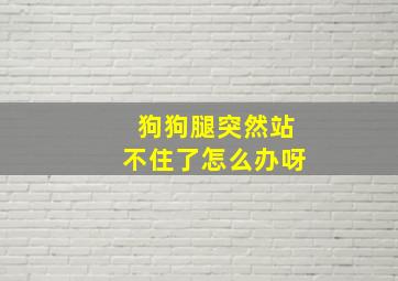 狗狗腿突然站不住了怎么办呀