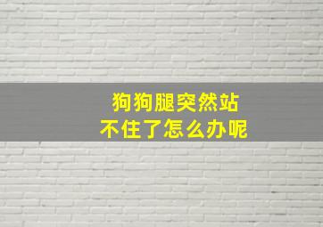 狗狗腿突然站不住了怎么办呢