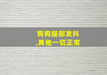 狗狗腿部发抖,其他一切正常