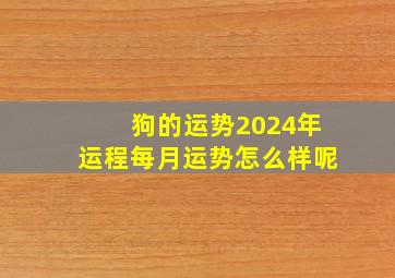 狗的运势2024年运程每月运势怎么样呢