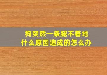 狗突然一条腿不着地什么原因造成的怎么办