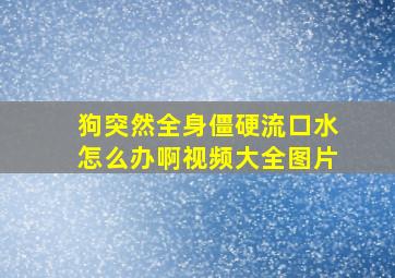 狗突然全身僵硬流口水怎么办啊视频大全图片