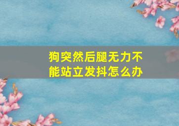 狗突然后腿无力不能站立发抖怎么办