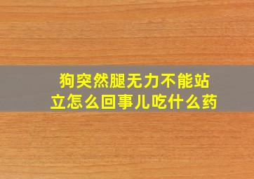 狗突然腿无力不能站立怎么回事儿吃什么药