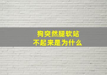 狗突然腿软站不起来是为什么