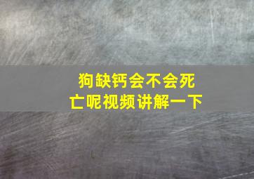 狗缺钙会不会死亡呢视频讲解一下