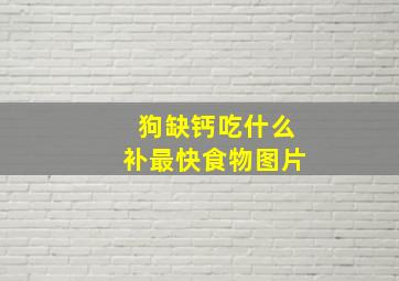 狗缺钙吃什么补最快食物图片