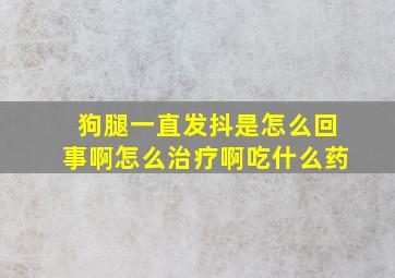 狗腿一直发抖是怎么回事啊怎么治疗啊吃什么药