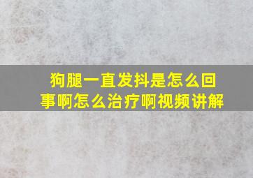 狗腿一直发抖是怎么回事啊怎么治疗啊视频讲解