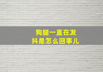 狗腿一直在发抖是怎么回事儿