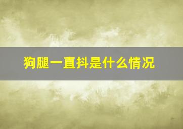 狗腿一直抖是什么情况