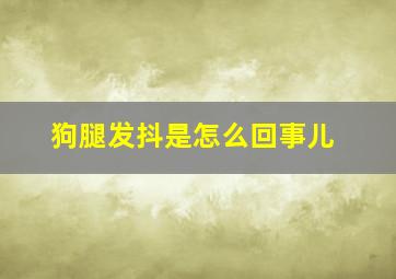 狗腿发抖是怎么回事儿