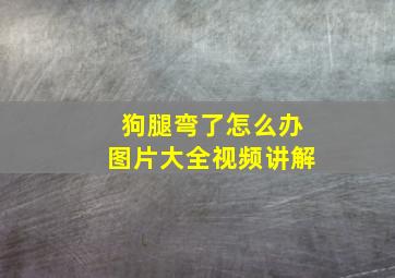 狗腿弯了怎么办图片大全视频讲解