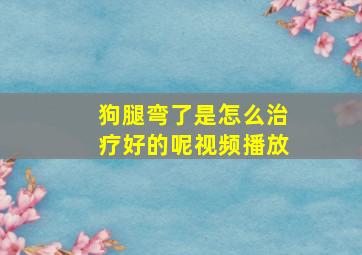 狗腿弯了是怎么治疗好的呢视频播放