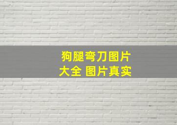 狗腿弯刀图片大全 图片真实