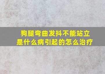 狗腿弯曲发抖不能站立是什么病引起的怎么治疗