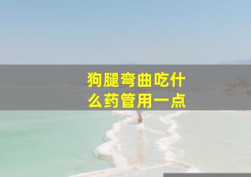 狗腿弯曲吃什么药管用一点