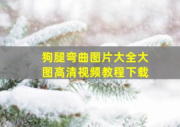 狗腿弯曲图片大全大图高清视频教程下载