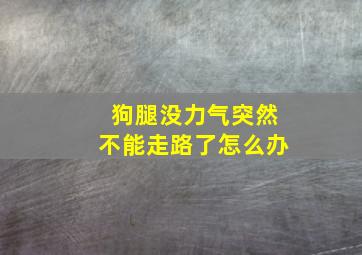 狗腿没力气突然不能走路了怎么办