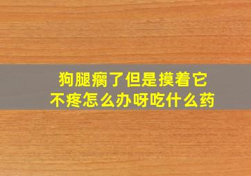 狗腿瘸了但是摸着它不疼怎么办呀吃什么药