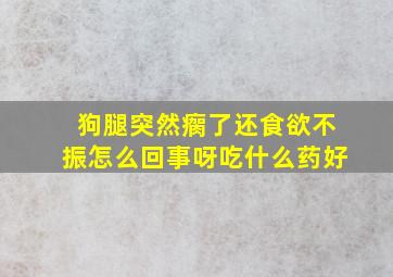 狗腿突然瘸了还食欲不振怎么回事呀吃什么药好