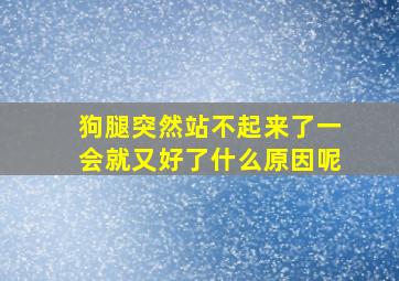 狗腿突然站不起来了一会就又好了什么原因呢