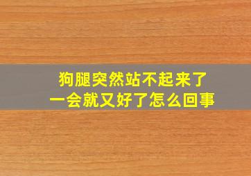 狗腿突然站不起来了一会就又好了怎么回事