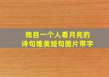 独自一个人看月亮的诗句唯美短句图片带字