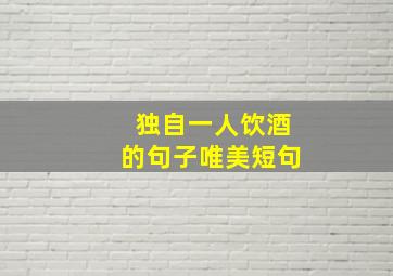 独自一人饮酒的句子唯美短句