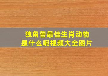 独角兽最佳生肖动物是什么呢视频大全图片