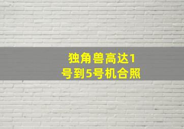 独角兽高达1号到5号机合照