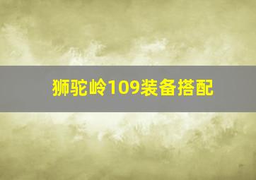 狮驼岭109装备搭配