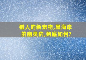 猎人的新宠物,黑海岸的幽灵豹,到底如何?