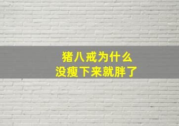 猪八戒为什么没瘦下来就胖了