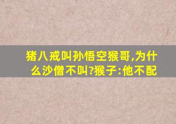 猪八戒叫孙悟空猴哥,为什么沙僧不叫?猴子:他不配