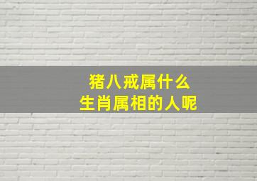 猪八戒属什么生肖属相的人呢