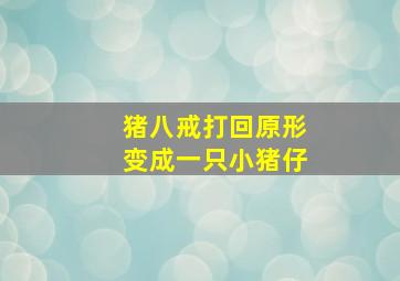 猪八戒打回原形变成一只小猪仔