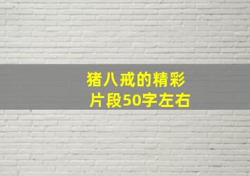 猪八戒的精彩片段50字左右