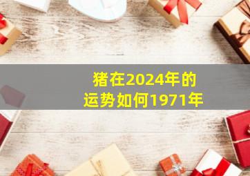 猪在2024年的运势如何1971年