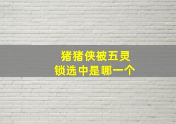 猪猪侠被五灵锁选中是哪一个