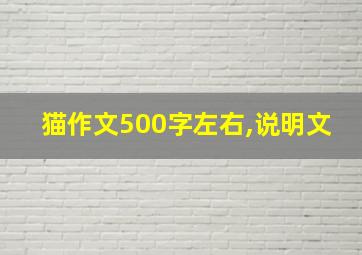 猫作文500字左右,说明文