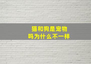 猫和狗是宠物吗为什么不一样