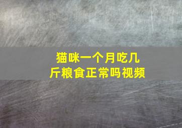 猫咪一个月吃几斤粮食正常吗视频