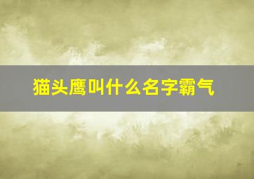 猫头鹰叫什么名字霸气