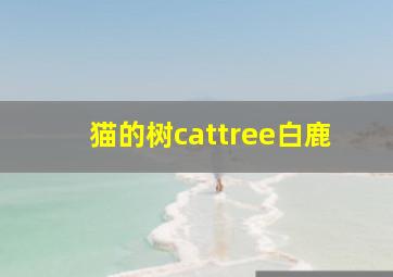 猫的树cattree白鹿