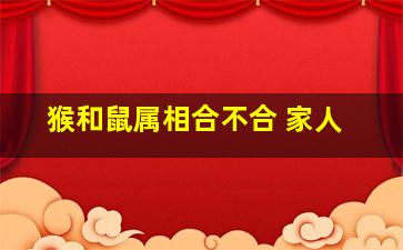 猴和鼠属相合不合 家人