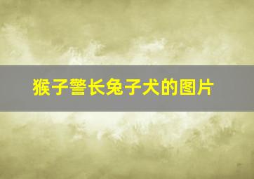 猴子警长兔子犬的图片