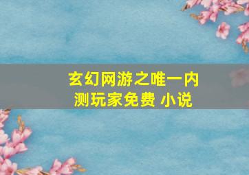 玄幻网游之唯一内测玩家免费 小说