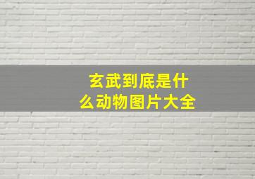 玄武到底是什么动物图片大全