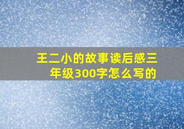 王二小的故事读后感三年级300字怎么写的